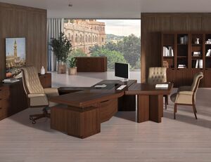 Кабинет руководителя MUX