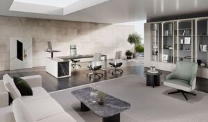 Кабинет руководителя Stone