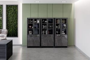 Кабинет руководителя Festus