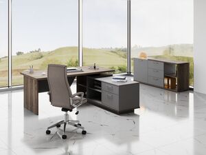 Кабинет руководителя Vilas