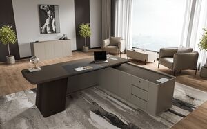 Кабинет руководителя Aston