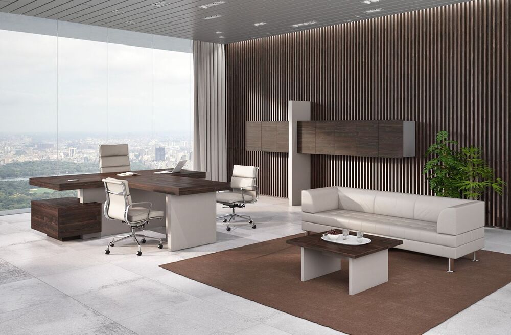 Кабинет руководителя ERA