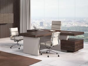 Кабинет руководителя ERA