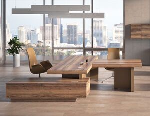 Кабинет руководителя ERA