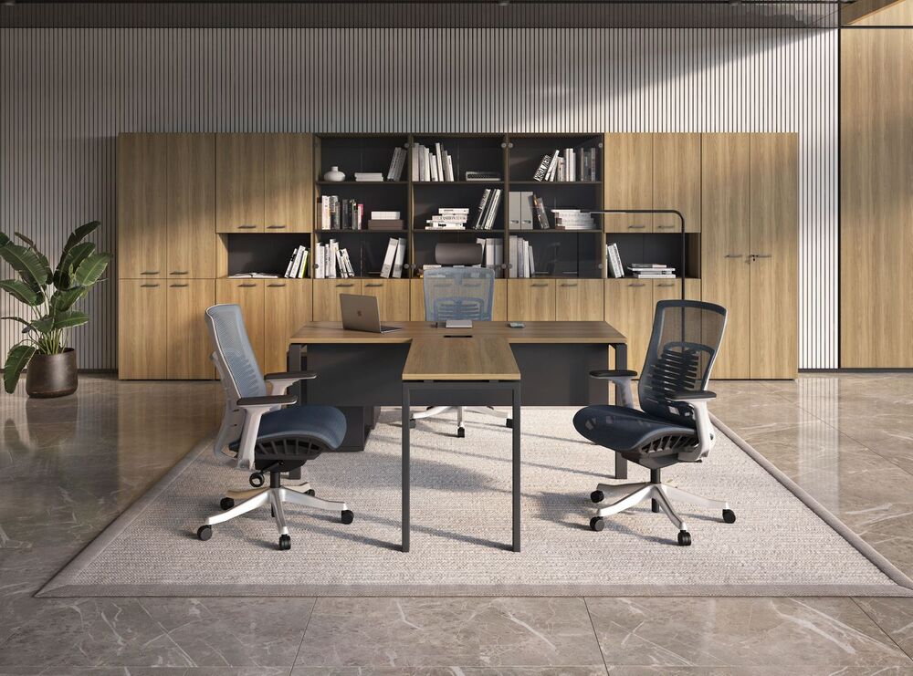 Кабинет руководителя Evolution