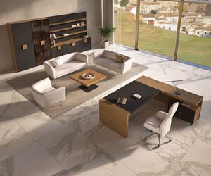 Кабинет руководителя KYU DM