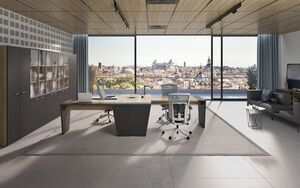 Кабинет руководителя TOWER