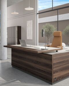 Кабинет руководителя REEF