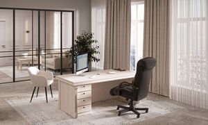 Кабинет руководителя Bern