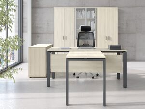 Кабинет руководителя Trend