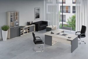 Кабинет руководителя Zion