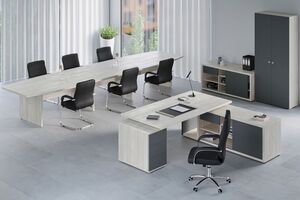 Кабинет руководителя Zion