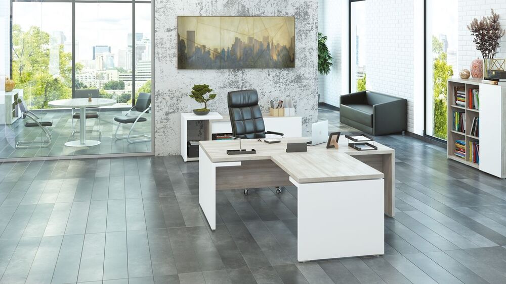 Кабинет руководителя Zion