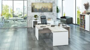 Кабинет руководителя Zion