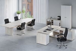 Кабинет руководителя Zion