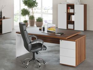 Кабинет руководителя Zion