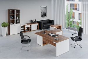 Кабинет руководителя Zion