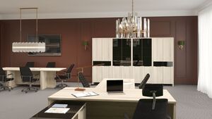 Кабинет руководителя Акцент