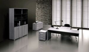 Кабинет руководителя Аргентум