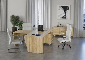 Кабинет руководителя CORNER