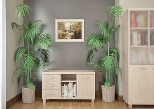 Кабинет руководителя FIRST