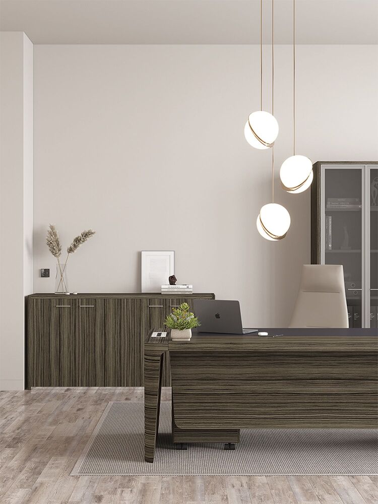 Кабинет руководителя Premium