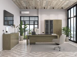 Кабинет руководителя Premium