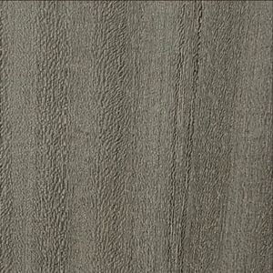 Шпон Швейцарский вяз (TA71YA)