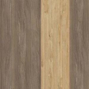 Дуб Аризона/Тиквуд Светлый