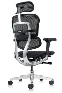 Кресло для руководителя Ergohuman Elite 2