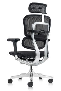Кресло для руководителя Ergohuman Elite 2