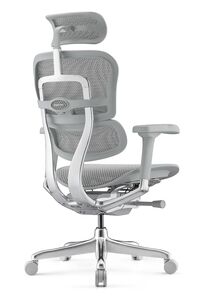 Кресло для руководителя Ergohuman Elite 2