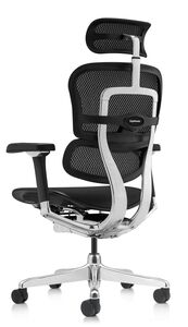 Кресло для руководителя Ergohuman Luxury 2