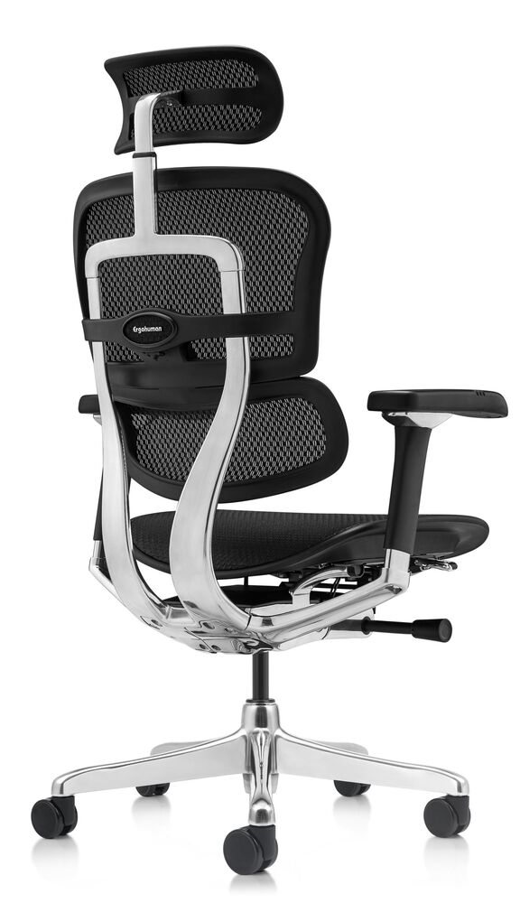 Кресло для руководителя Ergohuman Luxury 2