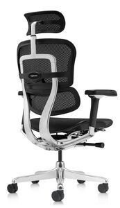 Кресло для руководителя Ergohuman Luxury 2