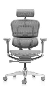 Кресло для руководителя Ergohuman Luxury 2