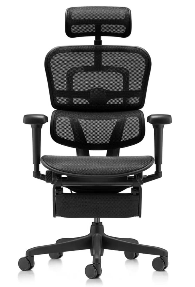 Кресло для руководителя Ergohuman Ultra Legrest