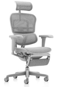 Кресло для руководителя Ergohuman Ultra Legrest