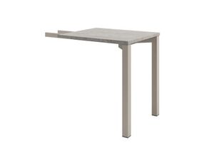 Брифинг-приставка