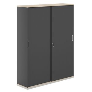 Шкаф-купе 5 уровней 1438