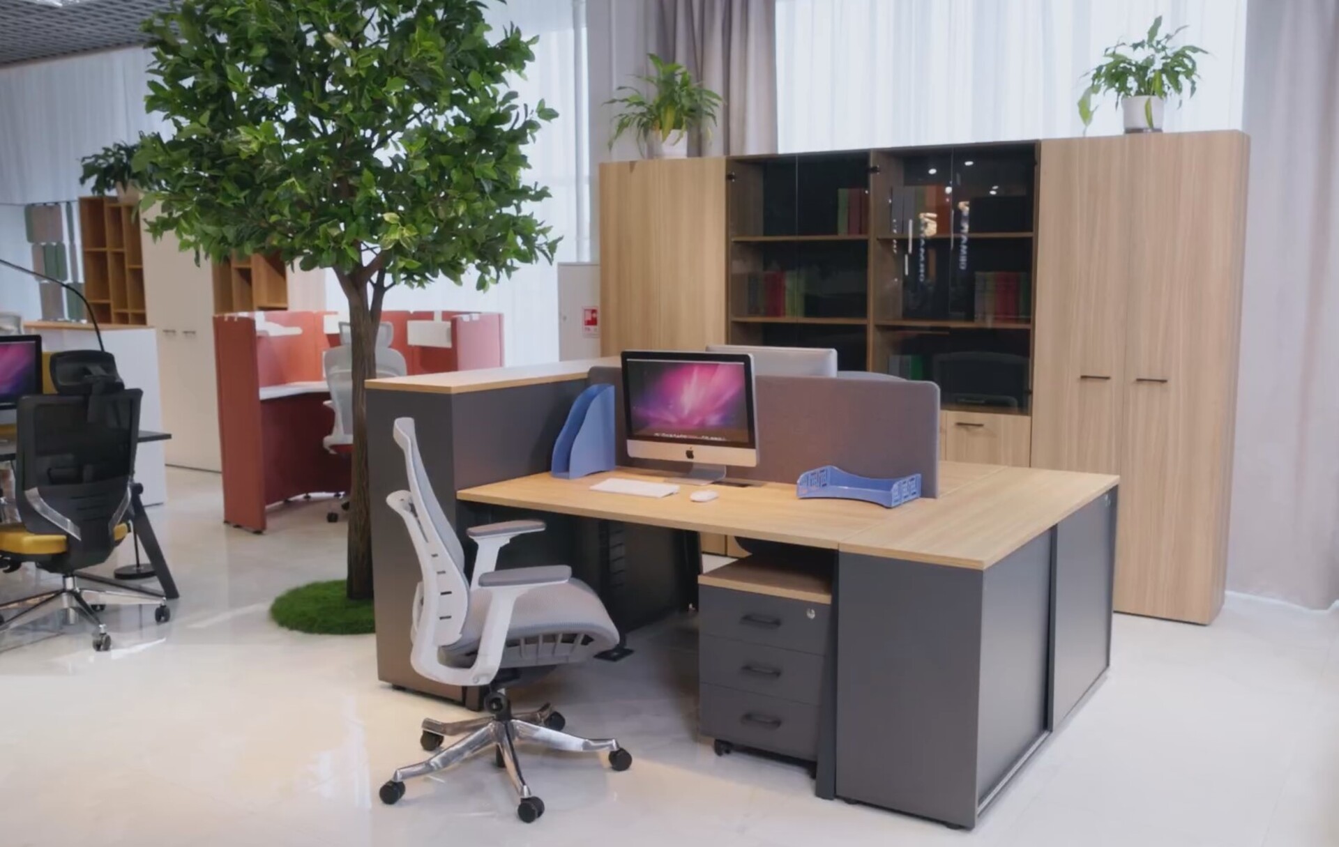 Кабинет руководителя Evolution видео.