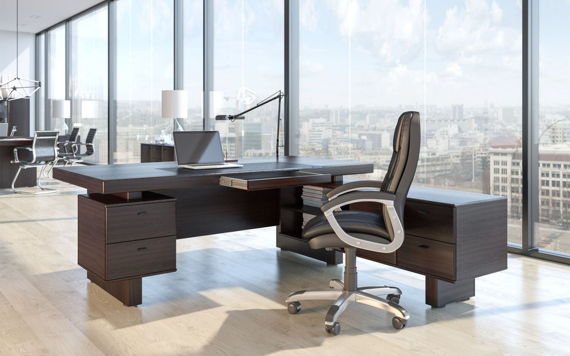 Кабинет руководителя Sydney видео.